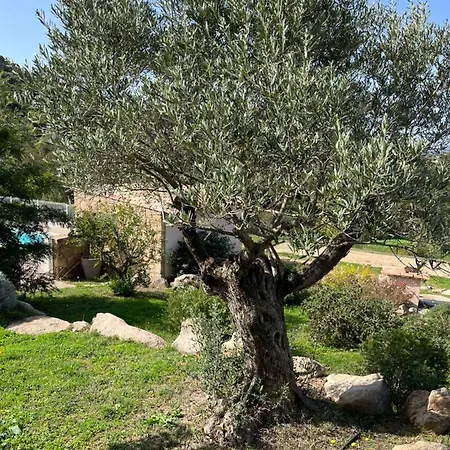 Charming 2-14 Persons Figari (Corsica)