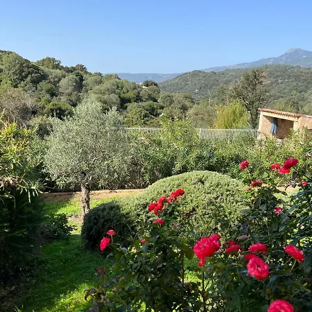 Charming 2-14 Persons Vila